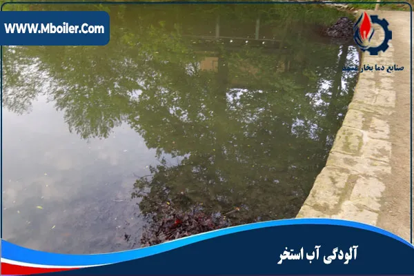 آلودگی آب استخر